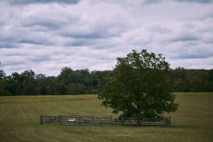 As Princeton Battlefield nears 250th, preservationists push for new visitor center