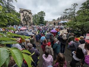 The Princeton “No Kings Day Rally” in photos