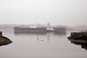 The long fight to save Petty’s Island still isn’t over