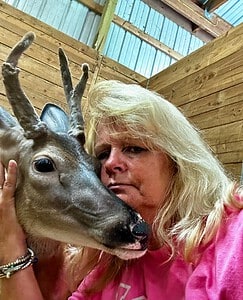 Lawrenceville woman to stand trial over rescued deer kept on farm